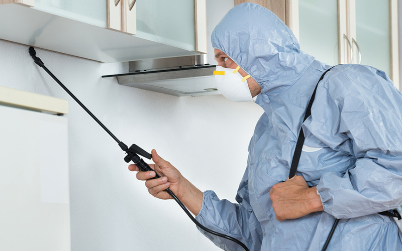 desinfestacao