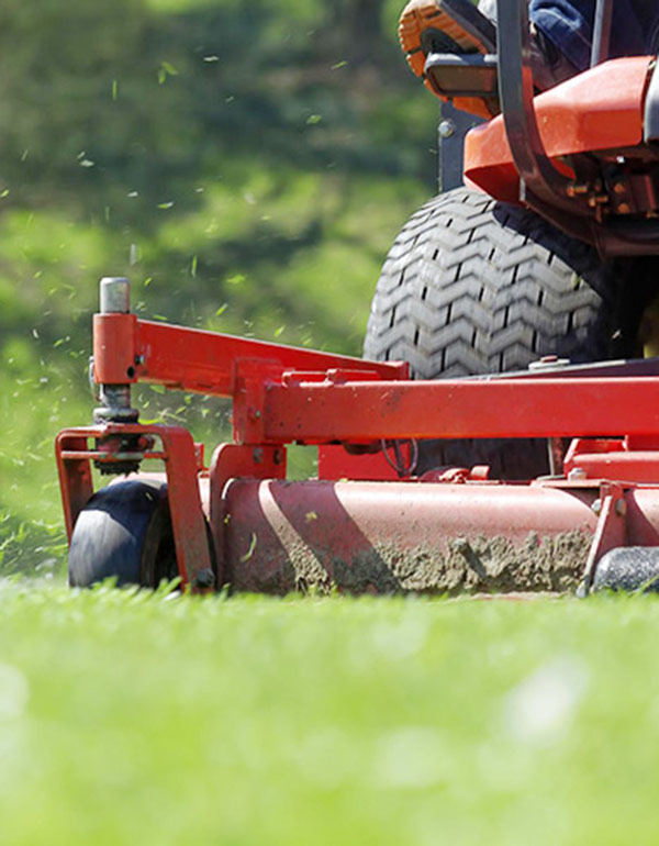 servicos_complementares